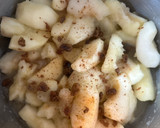 A picture of step 2 of Apple Compote.