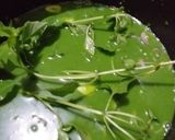 Foto langkah ke 2 dari resep Nasi Hijau Pandan.