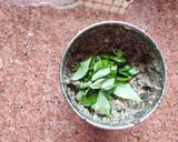 A picture of step 2 of Kala mutton keema.