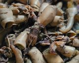 Foto langkah ke 1 dari resep Tumis Cumi Asin Warna Warni.