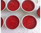 Foto del paso 4 de la receta: Gelo di anguria/ Hielo de sandia