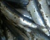صورة لخطوة 3 من وصفة حوت مقلي ٢ 🐟🐟🐟🐟