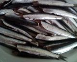 Foto del paso 1 de la receta: Boquerones encebollados