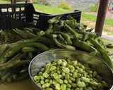 A picture of step 3 of Broad bean & pecorino salad.