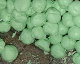 Foto langkah ke 2 dari resep Onde onde padang (klepon).