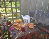 عکس مرحله 15 از دستور طرز تهیه فریتر پرتقالی