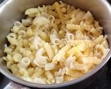 A picture of step 1 of Italian pasta with white sauce.