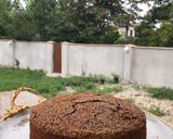 عکس مرحله 1 از دستور کیک ساده دو رنگ
