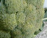 Foto del paso 1 de la receta: Brócoli con salsa blanca