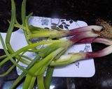 Foto del paso 8 de la receta: Churrasquitos a las 3 cebollas y a los 3 ajíes (en disco de arado o bifera)