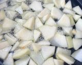 燉煮蘋果泥 (適合胃在修復期食用) (簡單版)的食譜步驟2照片