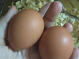 Dadar Tahu-Indomie