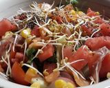 Foto del paso 1 de la receta: Ensalada de salmón y sandía