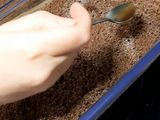Тірамісу з бісквітною шоколадною основою та маскарпоне