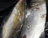 Foto langkah ke 1 dari resep Ikan bakar simple.