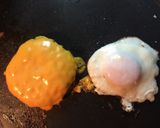 Foto del paso 4 de la receta: Hamburguesas caseras, puro sabor