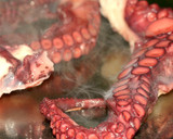 Foto del paso 2 de la receta: Pulpo a la Plancha