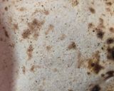 मुलायम रोटी (Soft roti recipe in hindi) रेसिपी चरण 4 फोटो