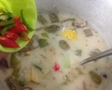 Foto langkah ke 4 dari resep Sayur Lodeh Bunga Kecombrang.