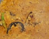 A picture of step 5 of Dohi Prawns.