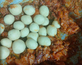 மேகி பால்ஸ் கிரேவி ரெசிபி ஸ்டேப் 7 புகைப்படம்