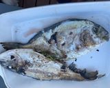 Une image de l'étape 6 de Dorade, artichaut et fenouil grillés.