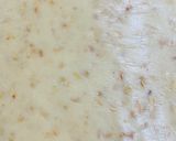 A picture of step 3 of Buttery Cashew Biscuits (Eggless).