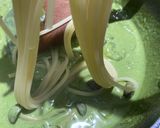 Foto langkah ke 6 dari resep Creamy Matcha Pasta.