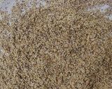 A picture of step 1 of Rajasthani Bajra Khichda (pearl millet).