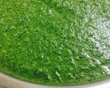 A picture of step 3 of Panipuri pulp..!!! (paste)Frozen recipe ❤️.