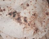 A picture of step 6 of Soft wheat roti.