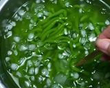 Foto langkah ke 3 dari resep Cendol.