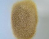 รูปขั้นตอนการทำที่ 3 ของ Lime powderผงมะนาว