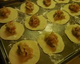A picture of step 15 of Pork Dumplings ☆ Steamed & Fried Gyoza.