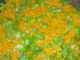 Hare choliya and garlic chutney