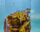 Foto langkah ke 2 dari resep Tepache (fermentasi kulit nanas).