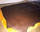 A picture of step 9 of Honeycomb.