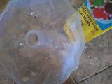 Puding Alvokad Mentega