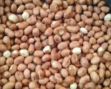 A picture of step 1 of Peanut and sesame seed chikki.