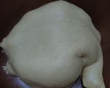 Foto langkah ke 5 dari resep Garlic Cheese Soft Sourdough Bread.