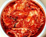 รูปขั้นตอนการทำที่ 11 ของ โฮมเมดกิมจิ (Homemade Kimchi) สไตล์เราฉบับเกาหลี😁