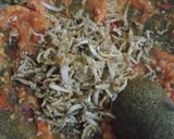Foto langkah ke 2 dari resep Sambal Cepokak a.k.a Rimbang a.k.a Leunca.