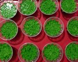 Foto langkah ke 2 dari resep Puding Lumut Pandan Cokelat.