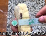 經典英式司康的食譜步驟7照片