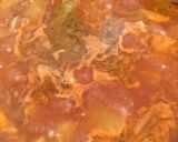 Foto del paso 6 de la receta: Tayota guisada
