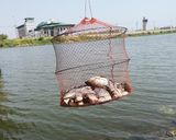 รูปขั้นตอนการทำที่ 1 ของ ปลานิลแดดเดียว(ทอด)​🐟🌞👩‍🍳
