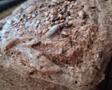 Foto del paso 15 de la receta: Pan trigo sarraceno freidora de aire