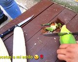 A picture of step 1 of Easy Blender Corn Tamales.