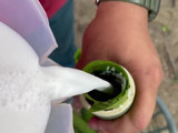 Lemang Pak Long