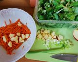 Salat aus Möhre Frühlingszwiebel und Feldsalat Rezeptschritt 1 Foto